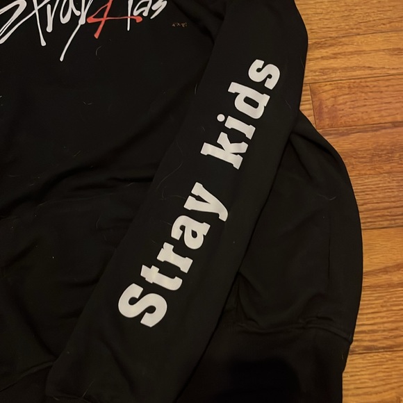 Stray kids hoddie - Picture 2 of 4